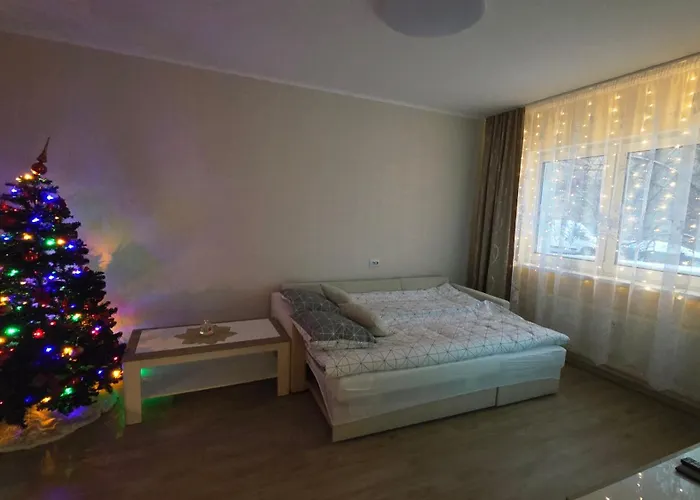 Cozy Annelinn Netflix *